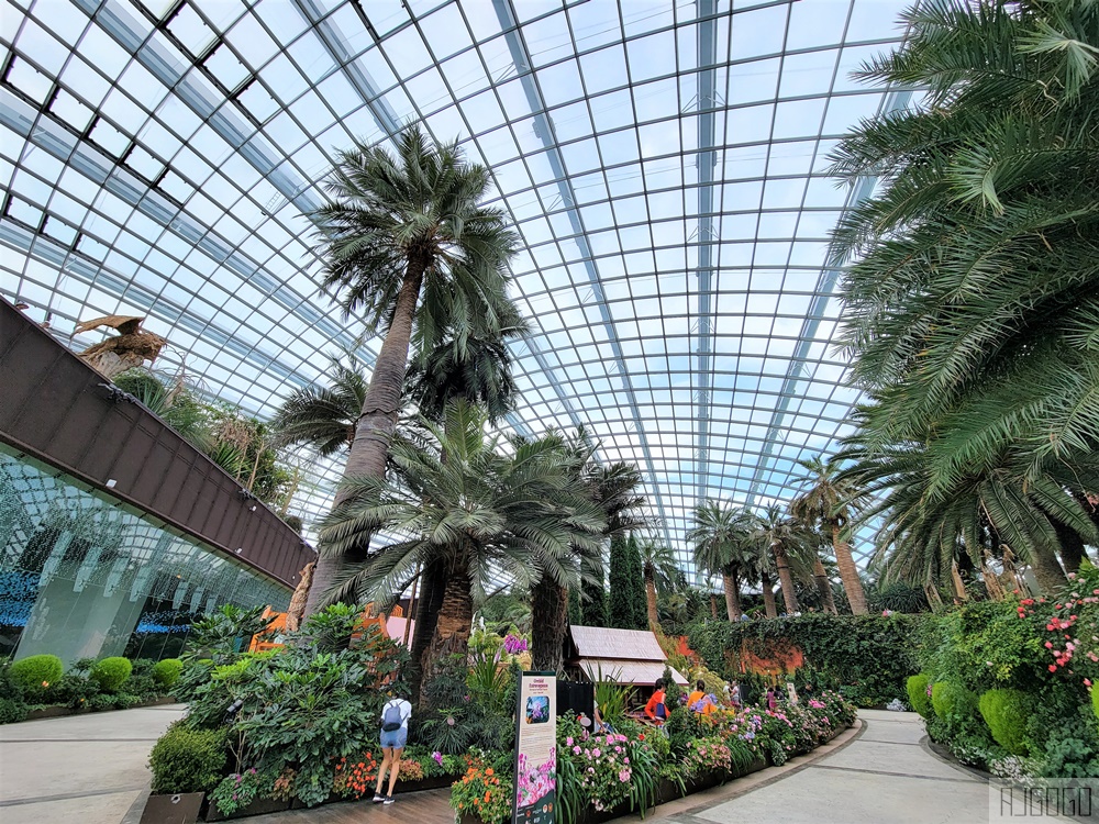2026新加坡景點 濱海灣花園 花穹、雲霧林、超級樹、奇幻花園 新加坡旅遊