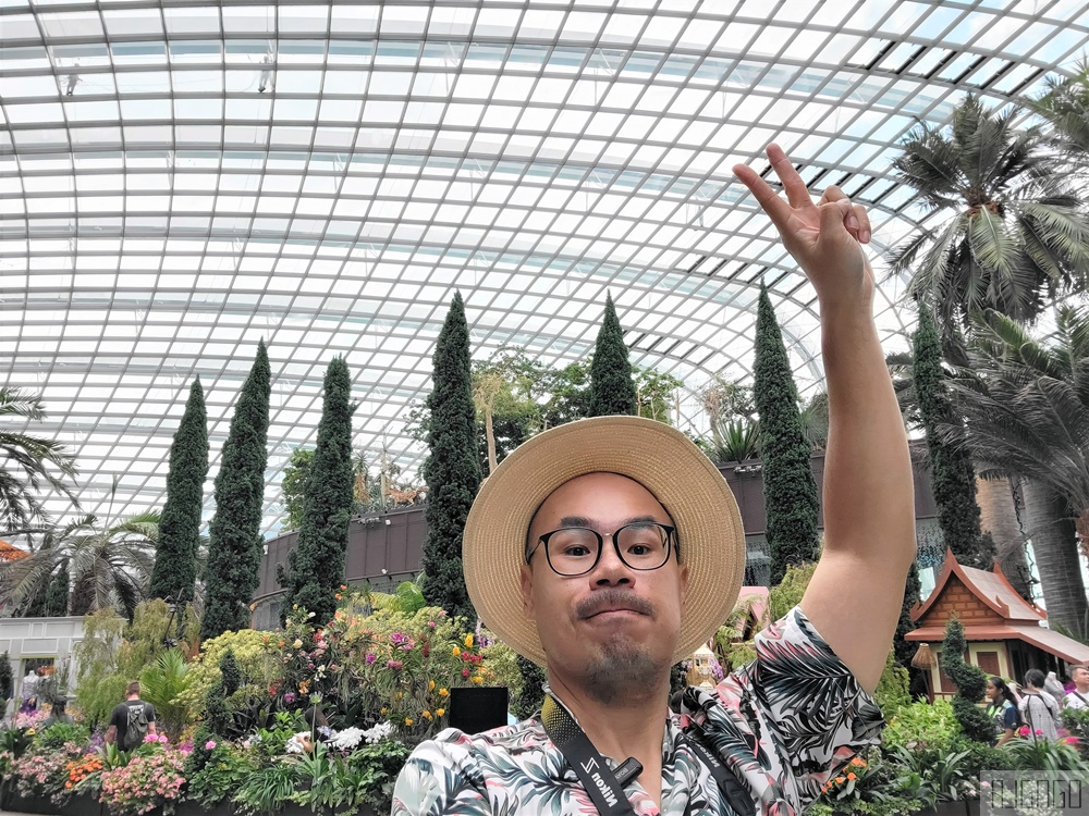 2026新加坡景點 濱海灣花園 花穹、雲霧林、超級樹、奇幻花園 新加坡旅遊