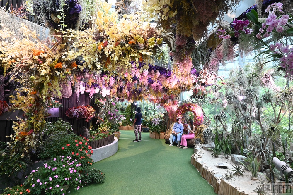2026新加坡景點 濱海灣花園 花穹、雲霧林、超級樹、奇幻花園 新加坡旅遊