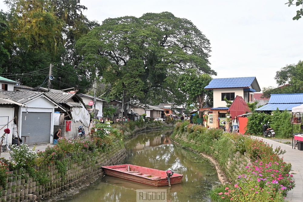 2026清邁自由行 湄卡運河市集 Khlong Mae Kha 古護城河改造日泰混搭風格夜市