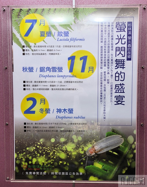 2026杉林溪住宿 杉林溪主題會館 一泊二食 早餐、晚餐、雙人房