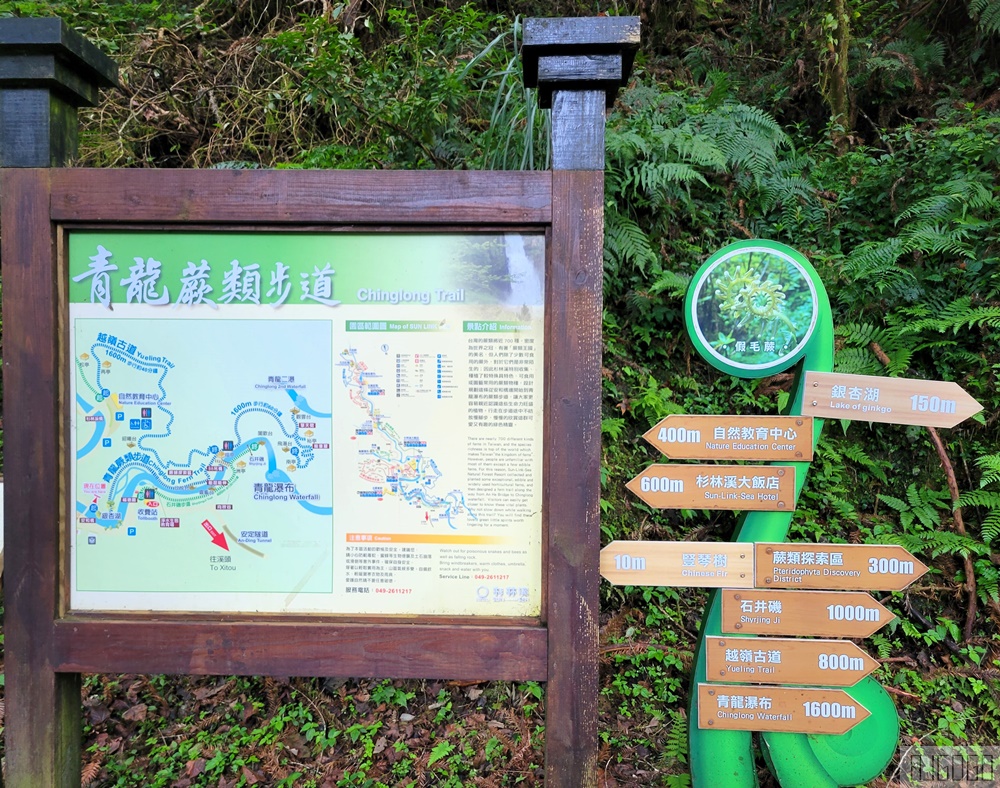 2026杉林溪住宿 杉林溪主題會館 一泊二食 早餐、晚餐、雙人房