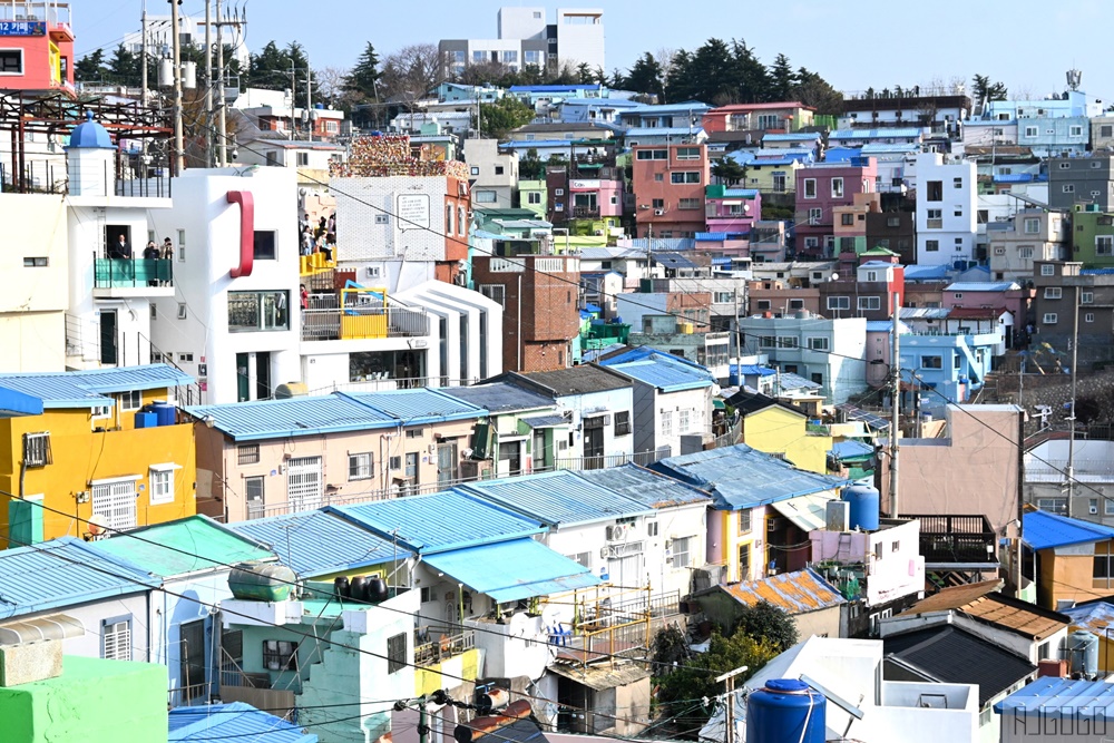 2026釜山景點 甘川文化村 交通攻略 絕美彩色山城藝術村 釜山自由行推薦