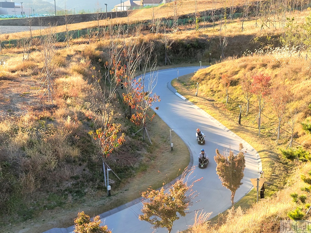 2026釜山自由行 Skyline Luge 天際斜坡滑車 釜山景點 好玩刺激的無舵雪橇車