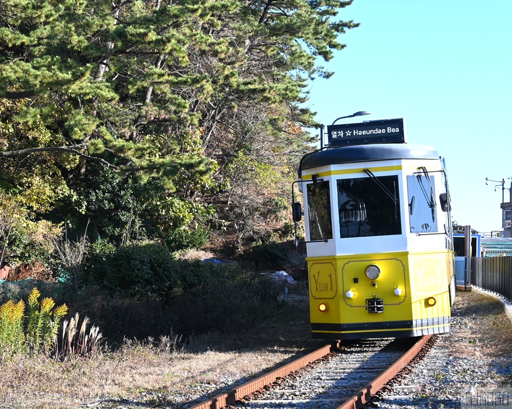 2026釜山自由行 海雲台藍線公園一日遊 膠囊列車、海濱列車、青沙浦墊腳石展望台 釜山景點推薦
