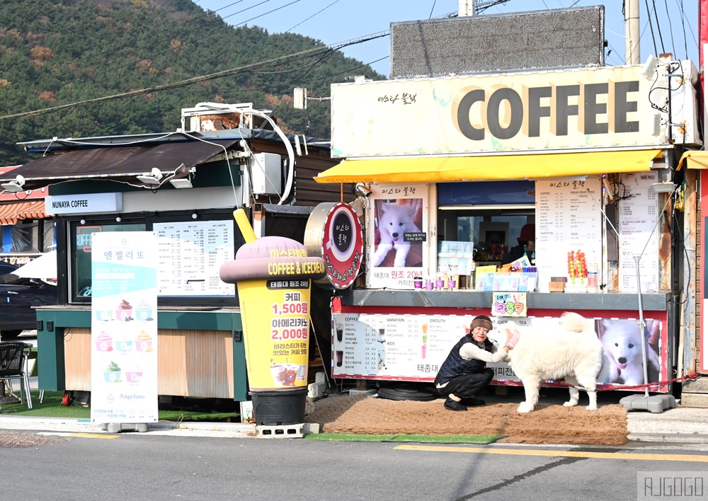 2026釜山自由行 太宗臺烤貝村 鮮美好吃烤貝類 加起司也太迷人 釜山美食推薦