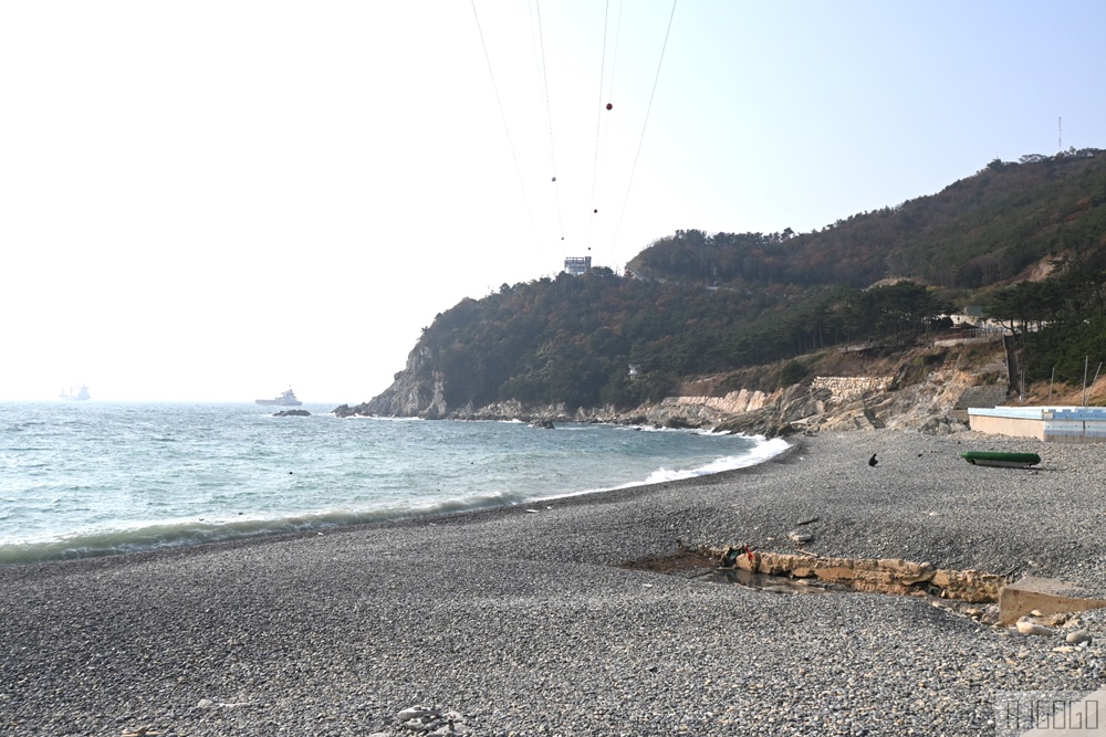 2026釜山自由行 太宗臺烤貝村 鮮美好吃烤貝類 加起司也太迷人 釜山美食推薦