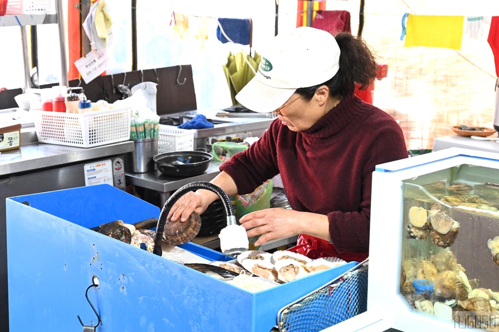 2026釜山自由行 太宗臺烤貝村 鮮美好吃烤貝類 加起司也太迷人 釜山美食推薦
