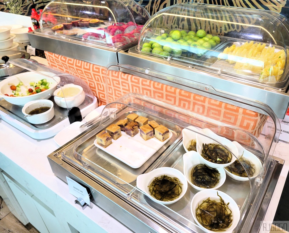 胡志明新山一機場貴賓室 Apricot Business Lounge 國際航廈貴賓室 星宇航空商務艙貴賓室