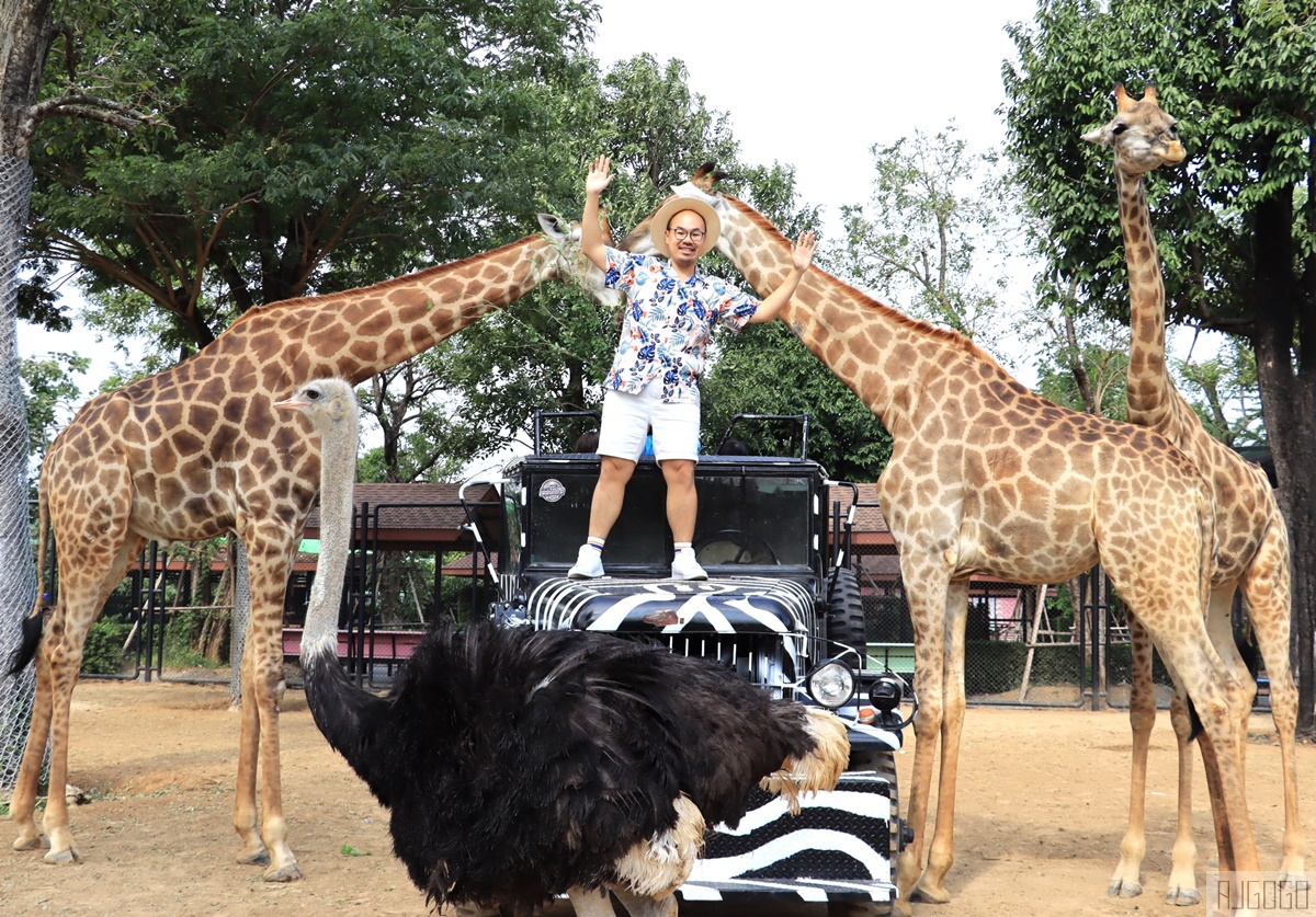 2026泰國旅遊 大城動物園 吉普車長頸鹿拍照、泰服古廟一日遊 @AJ的旅行地圖