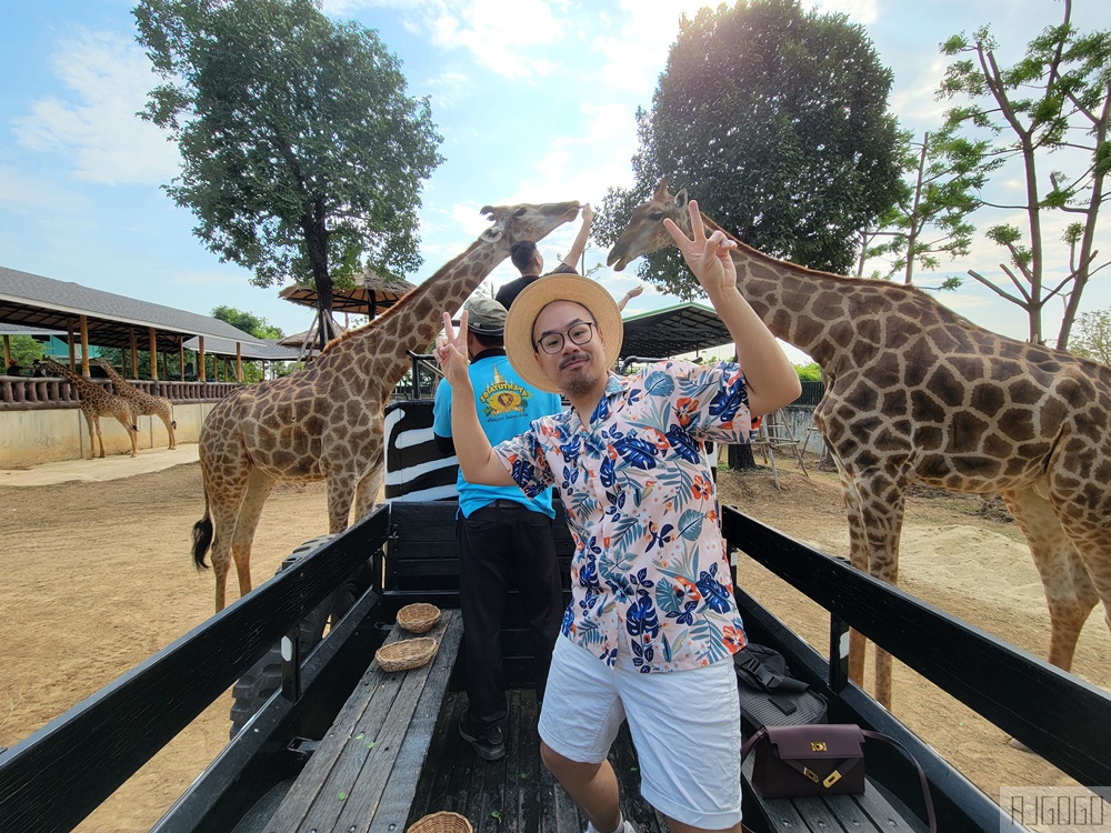 2026泰國旅遊 大城動物園 吉普車長頸鹿拍照、泰服古廟一日遊
