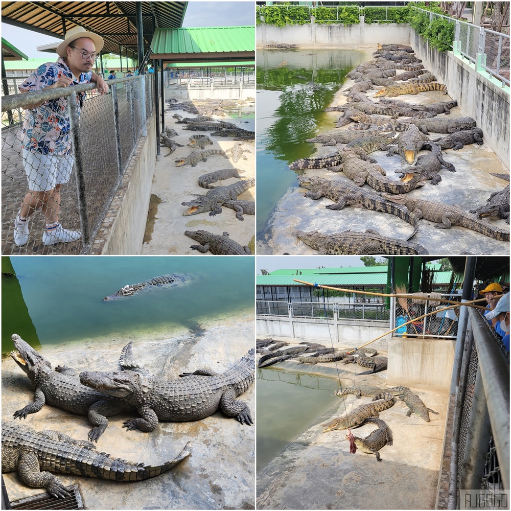 2026泰國旅遊 大城動物園 吉普車長頸鹿拍照、泰服古廟一日遊