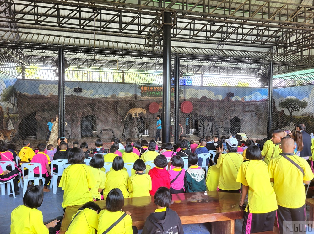 2026泰國旅遊 大城動物園 吉普車長頸鹿拍照、泰服古廟一日遊