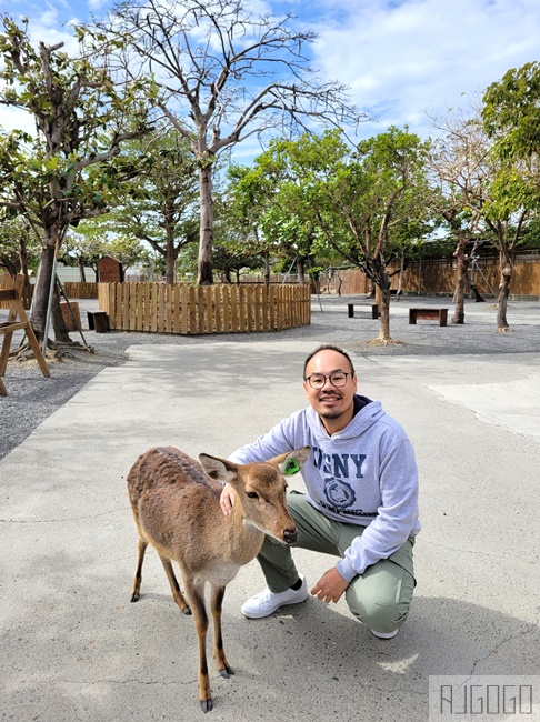 墾丁景點 墾丁鹿境梅花鹿生態園區 梅花鹿 水豚君零距離接觸 墾丁恆春親子景點