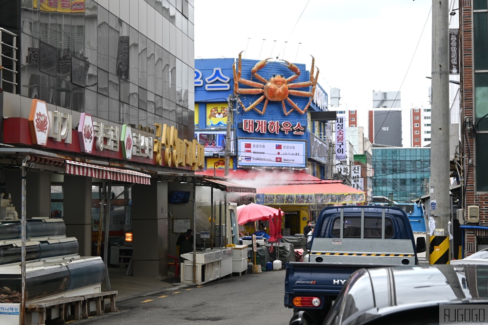 2026釜山自由行 幾張市場 釜山海鮮市場 松葉蟹集散地 釜山景點推薦