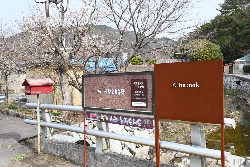 2026釜山自由行 韓屋咖啡廳 Ha:nok 甜點花俏好吃 釜山美食 2026釜山自由行 韓屋咖啡廳 Ha:nok 甜點花俏好吃 釜山美食
