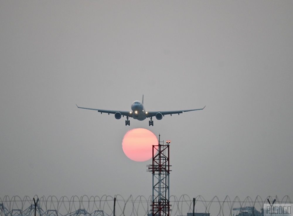 2026高雄景點 老爸機場咖啡/老爸休閒農場 高雄機場跑道前第一排景觀咖啡廳