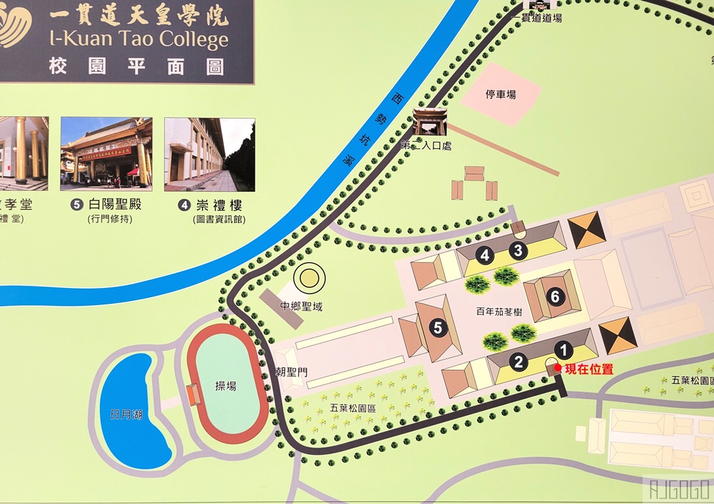 高雄景點 六龜 寶光建德神威天臺山道場 花旗木 每年3~4月花季登場