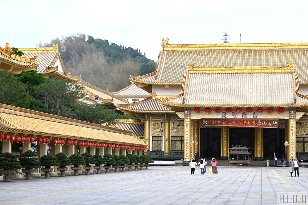 高雄景點 六龜 寶光建德神威天臺山道場 花旗木 每年3~4月花季登場