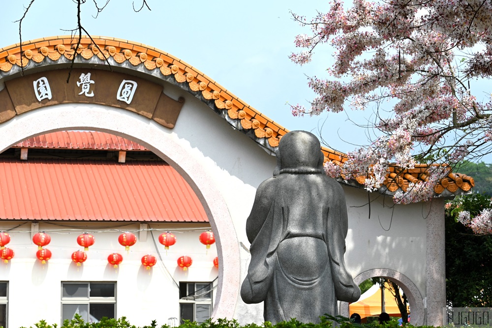高雄景點 六龜 寶光建德神威天臺山道場 花旗木 每年3~4月花季登場