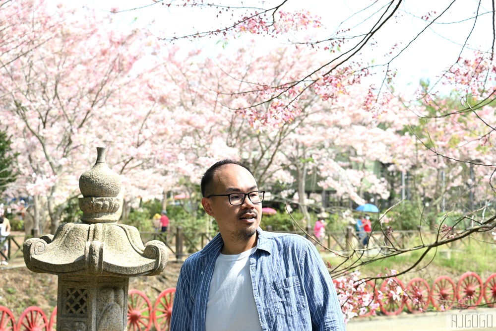 高雄景點 六龜 寶光建德神威天臺山道場 花旗木 每年3~4月花季登場