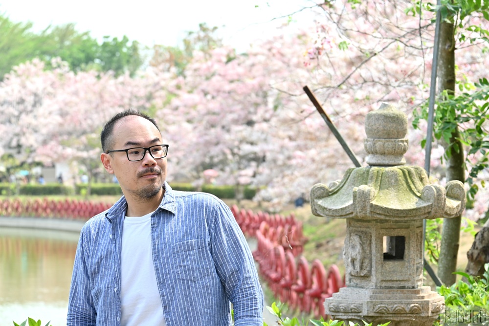 高雄景點 六龜 寶光建德神威天臺山道場 花旗木 每年3~4月花季登場