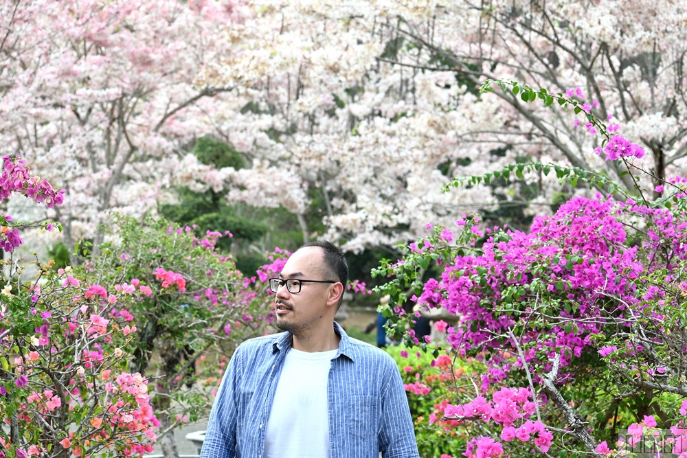 高雄景點 六龜 寶光建德神威天臺山道場 花旗木 每年3~4月花季登場