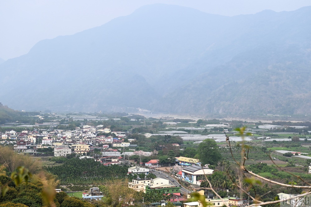 高雄景點 六龜 寶光建德神威天臺山道場 花旗木 每年3~4月花季登場
