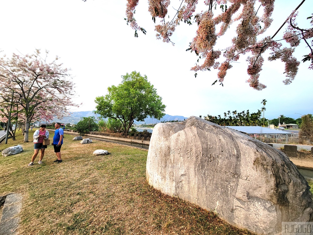 高雄景點 獅子頭水圳 高雄美濃花旗木 每年3~4月開花