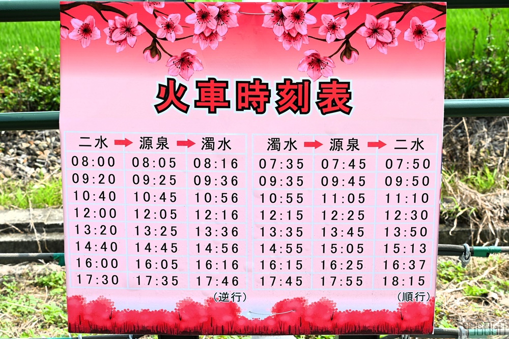 彰化景點 二水花旗木鐵道 集集線小火車與粉紅花道 每年3月底-4月中旬上演