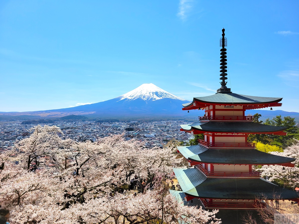 富士山景點 新倉山淺間公園展望台 忠靈塔、富士山、滿山櫻花 日本旅遊 @AJ的旅行地圖
