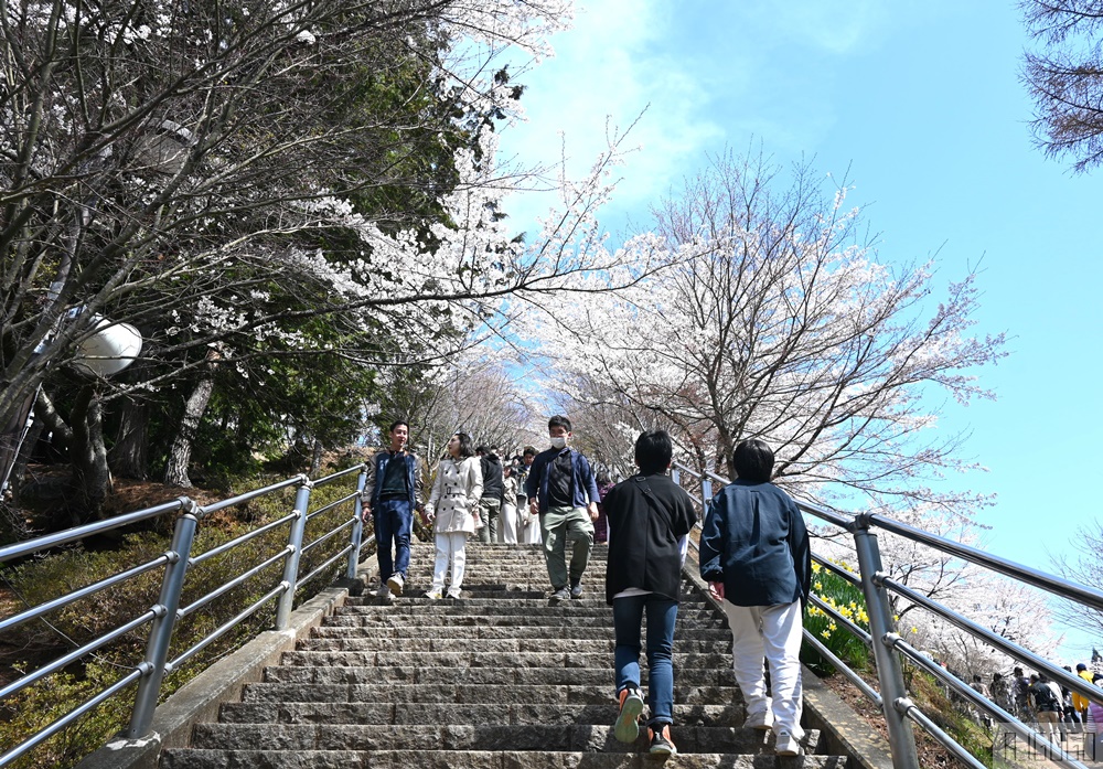 富士山景點 新倉山淺間公園展望台 忠靈塔、富士山、滿山櫻花 日本旅遊