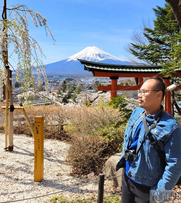 富士山景點 新倉山淺間公園展望台 忠靈塔、富士山、滿山櫻花 日本旅遊