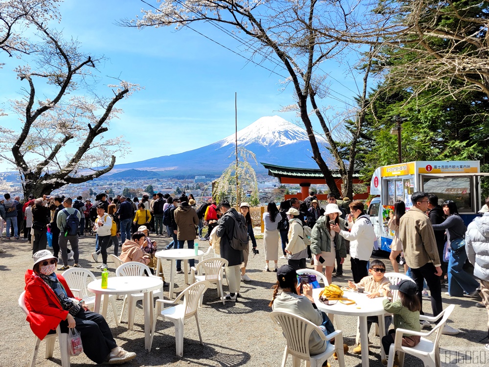 富士山景點 新倉山淺間公園展望台 忠靈塔、富士山、滿山櫻花 日本旅遊