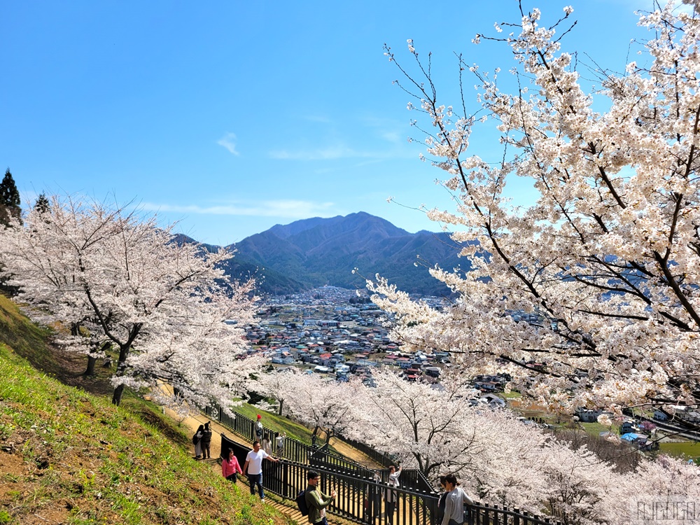 富士山景點 新倉山淺間公園展望台 忠靈塔、富士山、滿山櫻花 日本旅遊