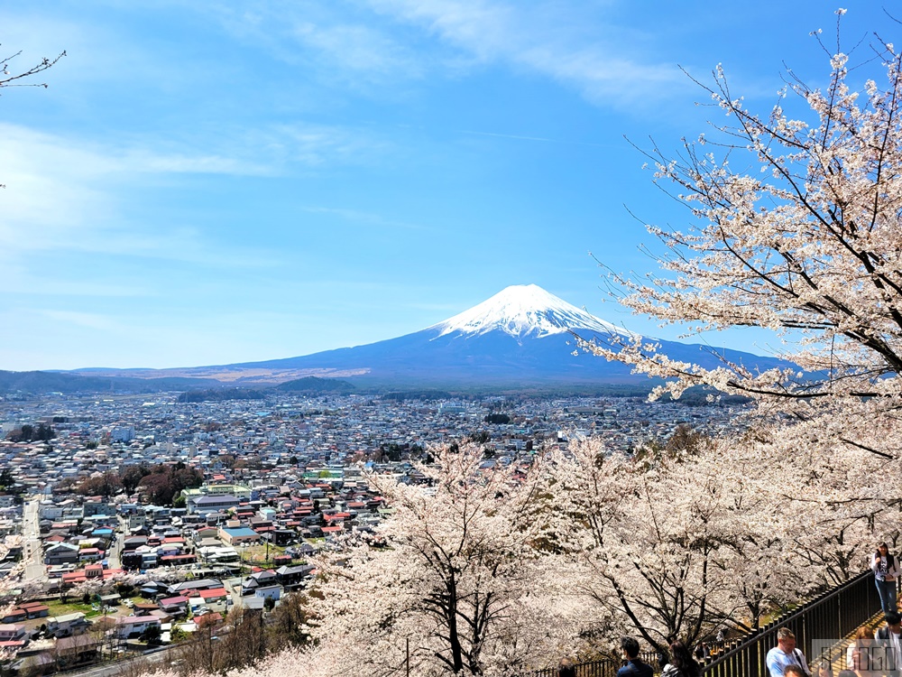 富士山景點 新倉山淺間公園展望台 忠靈塔、富士山、滿山櫻花 日本旅遊