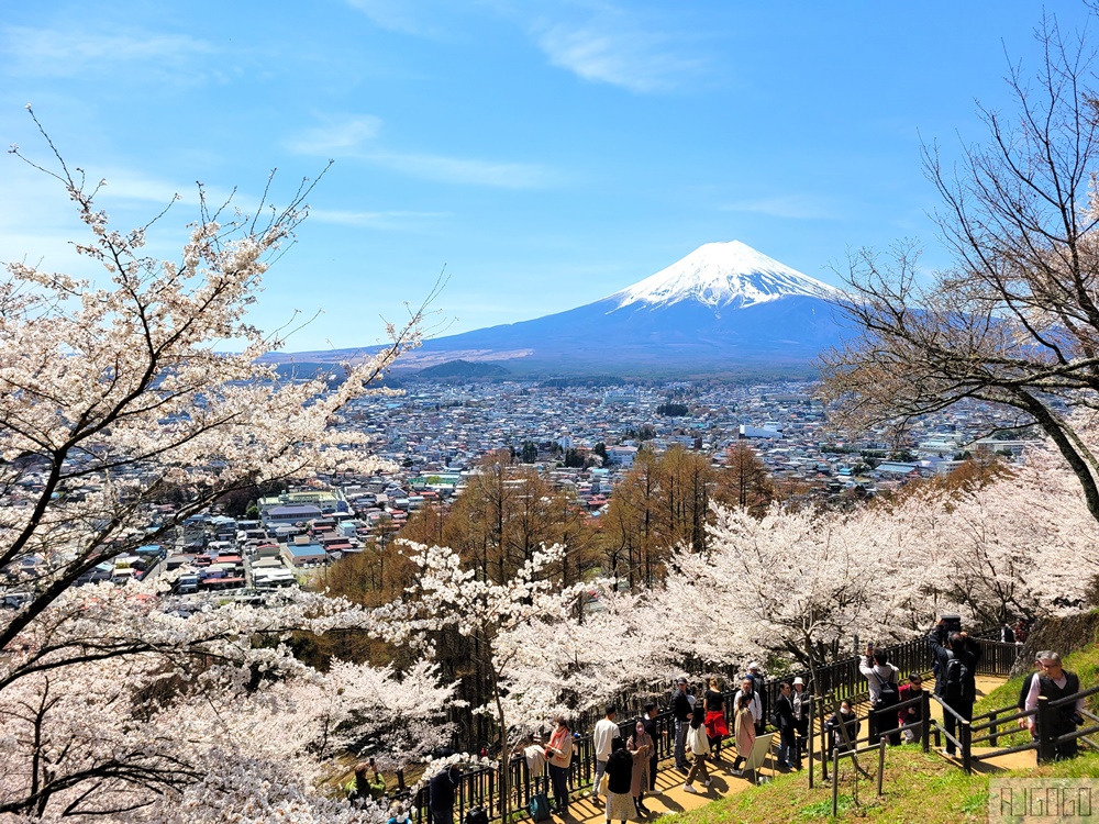 富士山景點 新倉山淺間公園展望台 忠靈塔、富士山、滿山櫻花 日本旅遊