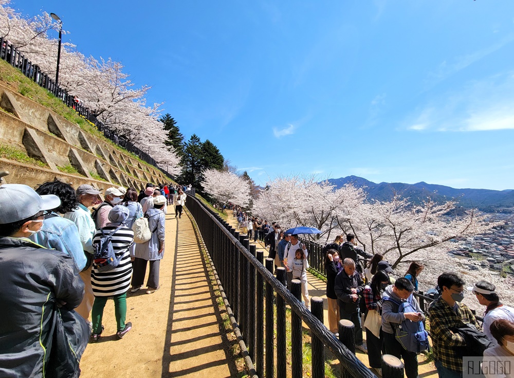 富士山景點 新倉山淺間公園展望台 忠靈塔、富士山、滿山櫻花 日本旅遊