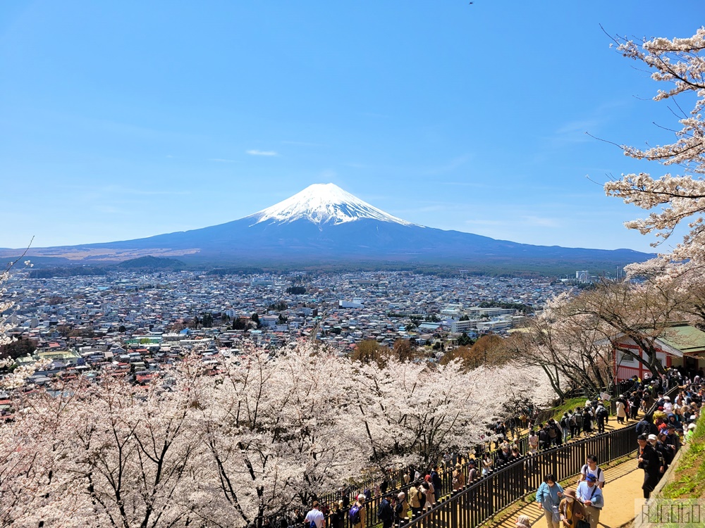 富士山景點 新倉山淺間公園展望台 忠靈塔、富士山、滿山櫻花 日本旅遊