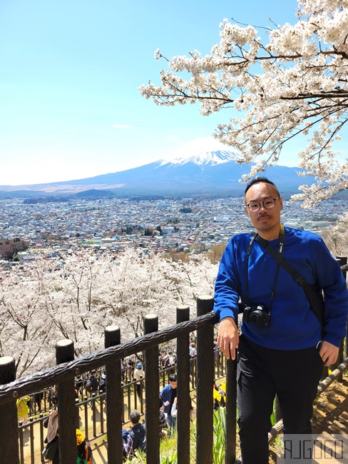 富士山景點 新倉山淺間公園展望台 忠靈塔、富士山、滿山櫻花 日本旅遊