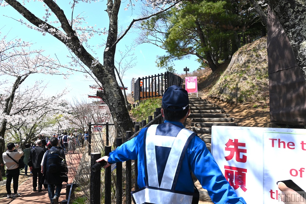 富士山景點 新倉山淺間公園展望台 忠靈塔、富士山、滿山櫻花 日本旅遊