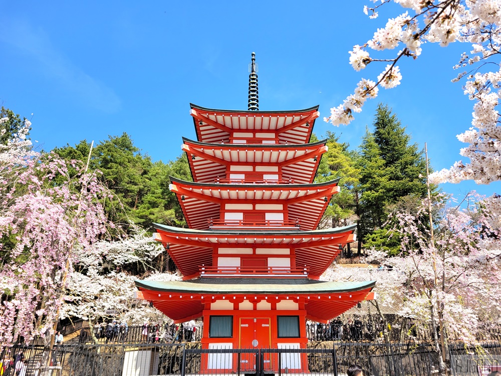 富士山景點 新倉山淺間公園展望台 忠靈塔、富士山、滿山櫻花 日本旅遊
