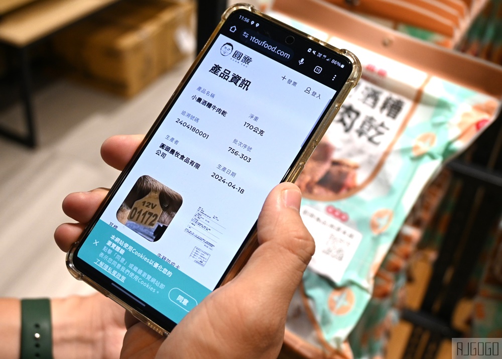 2026金門美食 圓頭溫體全牛火鍋自助吃到飽 / 溫體牛肉麵 金門旅遊