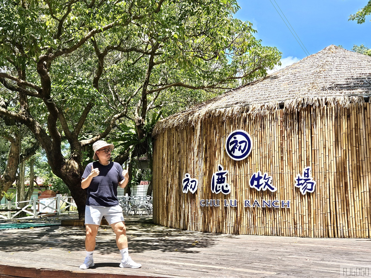 2026台東景點 初鹿牧場 台灣最大坡地型牧場 牛奶霜淇淋好吃