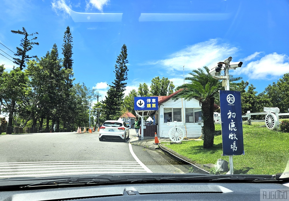 2026台東景點 初鹿牧場 台灣最大坡地型牧場 牛奶霜淇淋好吃