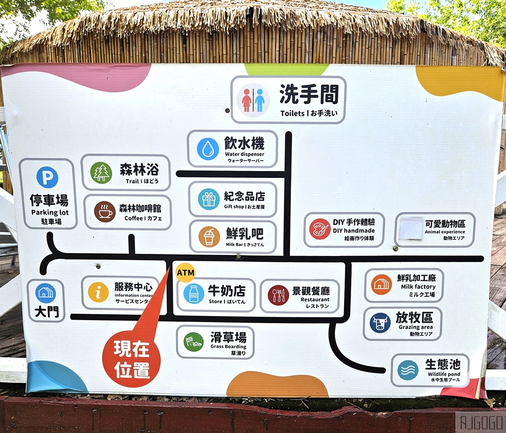 2026台東景點 初鹿牧場 台灣最大坡地型牧場 牛奶霜淇淋好吃
