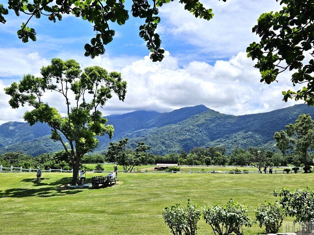 2026台東景點 初鹿牧場 台灣最大坡地型牧場 牛奶霜淇淋好吃