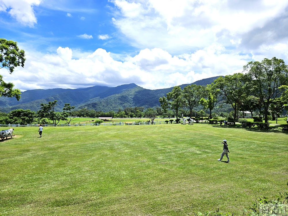 2026台東景點 初鹿牧場 台灣最大坡地型牧場 牛奶霜淇淋好吃