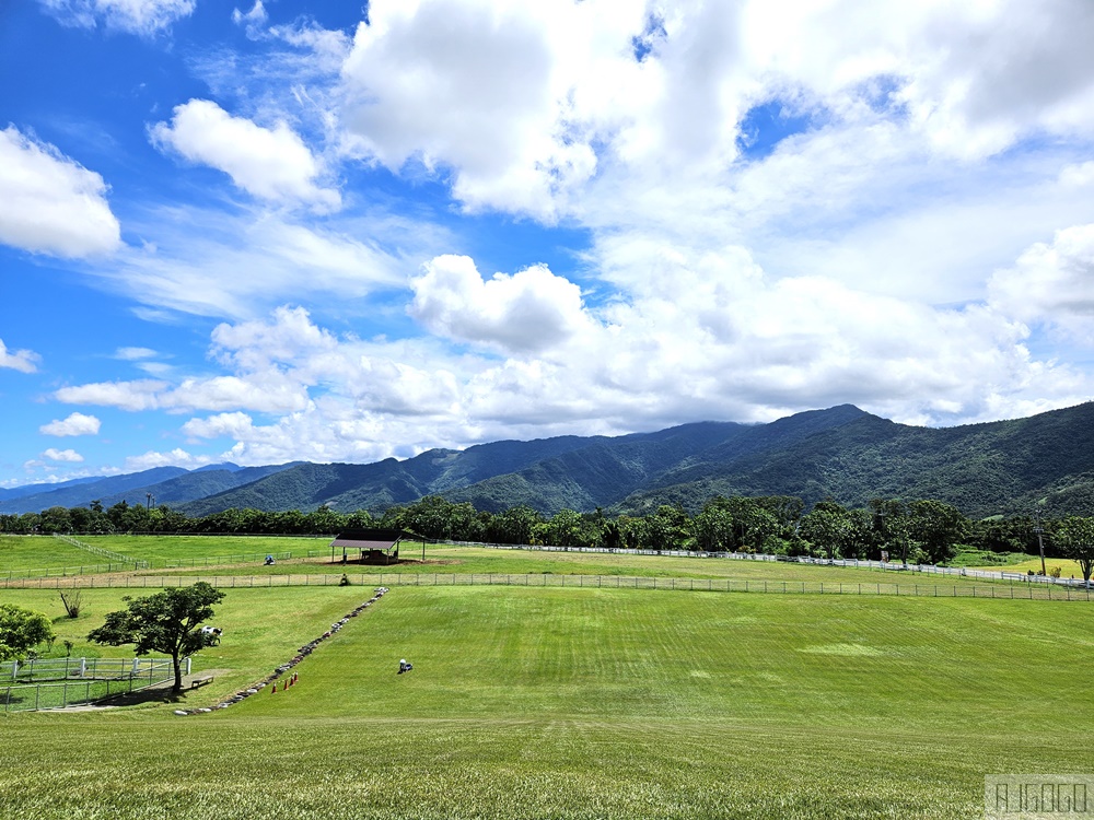 2026台東景點 初鹿牧場 台灣最大坡地型牧場 牛奶霜淇淋好吃