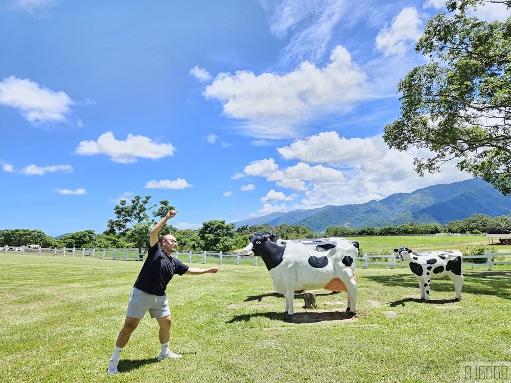 2026台東景點 初鹿牧場 台灣最大坡地型牧場 牛奶霜淇淋好吃
